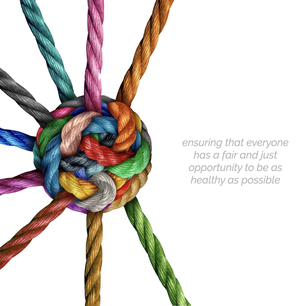 health equity - NYS - 1115 Waiver
